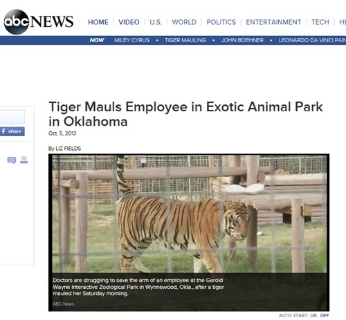 미국의 한 사육사가 호랑이에 물려 부상을 입었다.ⓒABC뉴스 홈페이지 캡처