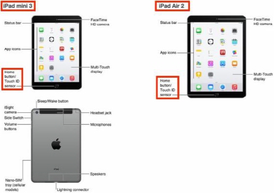 아이튠스 스토어에 올라온 iOS8 운영체제 공식 사용자가이드를 통해 공개된 아이패드미니3와 아이패드에어2 추정사진. ⓒ아이튠스