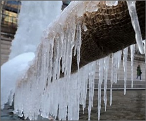 꽁꽁 언 고드름이 매달린 청계천의 나무.ⓒ연합뉴스