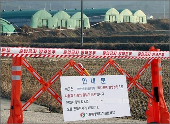 농림축산식품부는 고성의 한 오리농장에서 기르던 개에서 AI바이러스가 발견됐다고 2일 밝혔다.ⓒ연합뉴스