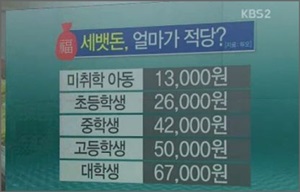 연령별 적정 세뱃돈 액수ⓒKBS 뉴스화면 캡처