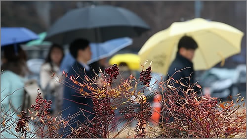 13일 전국 곳곳에 비가 내린 뒤 한낮부터는 점차 기온이 올라 꽃샘추위가 물러나겠다.ⓒ연합뉴스