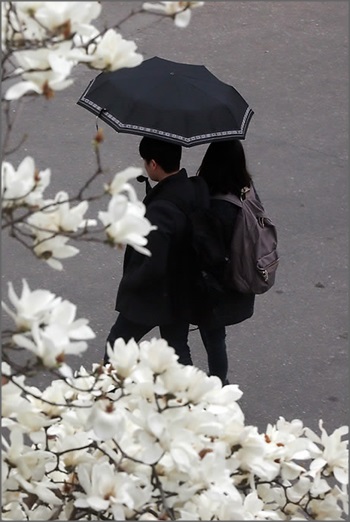 4월 둘째 날인 오늘(2일) 전국이 대체로 흐리고, 낮부터 비가 내리기 시작하겠다.ⓒ연합뉴스