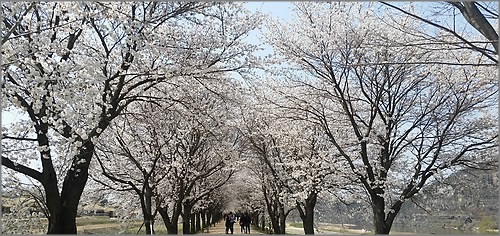 토요일인 내일(11일) 전국이 맑겠고 일교차가 크겠다.ⓒ연합뉴스