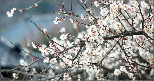 15일 낮부터 점차 맑아지고 기온도 크게 오르겠다.ⓒ연합뉴스