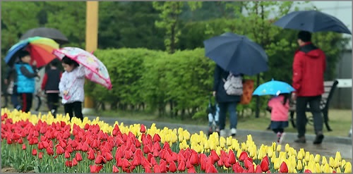 수요일인 오늘(22일)은 구름이 많은 날씨를 보이다 오후에 서울과 경기도를 시작으로 밤에는 전국이 맑아질 전망이다.ⓒ연합뉴스