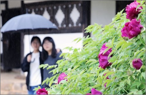 수요일인 오늘(29일) 서해 남부 해상에 위치한 저기압의 영향을 받아 전국이 대체로 흐리고 가끔 비가 오겠다.ⓒ연합뉴스