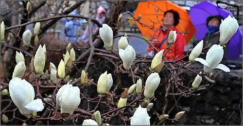 4월의 마지막 날인 내일은 곳곳에 산발적인 빗방울이 떨어지겠다.ⓒ연합뉴스