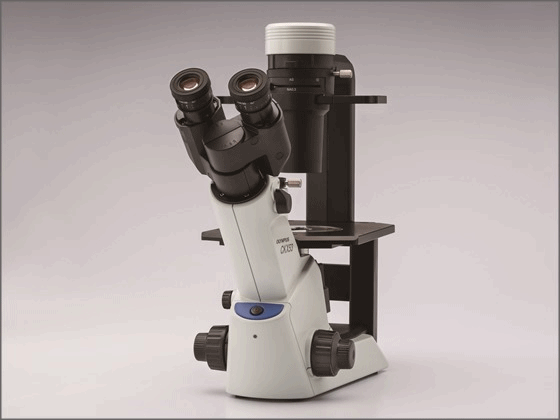 세포배양 현미경 ‘CKX53’.ⓒ올림푸스한국
