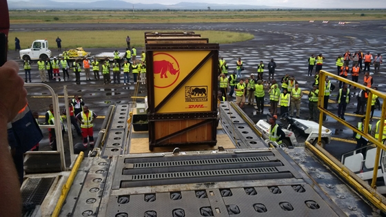 멸종위기종 검은 코뿔소 엘리스카를 태운 보잉 757 화물기가 탄자니아 킬리만자로 공항에 도착한 모습.ⓒDHL