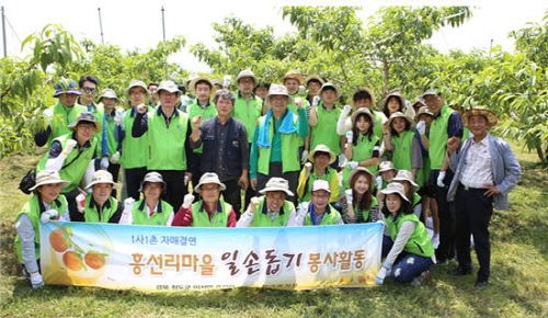 한국감정원 임직원들이 흥선리 마을의 복숭아 솎아내기 봉사활동 실시 후 단체사진 촬영을 하고 있다.ⓒ한국감정원