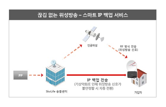 ⓒKT스카이라이프