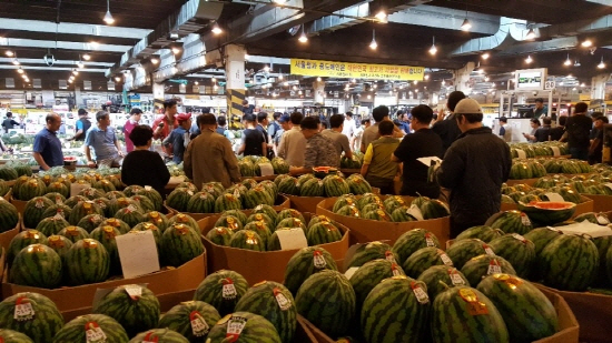 서울 가락동 도매시장 수박 경매 현장. [사진=팜한농]