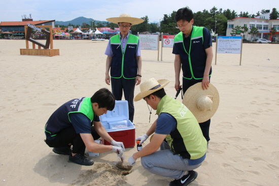 한국석유관리원 직원들이 동해안 해수욕장을 찾아 오염도를 측정할 모래를 채취하고 있다. [사진=한국석유관리원]