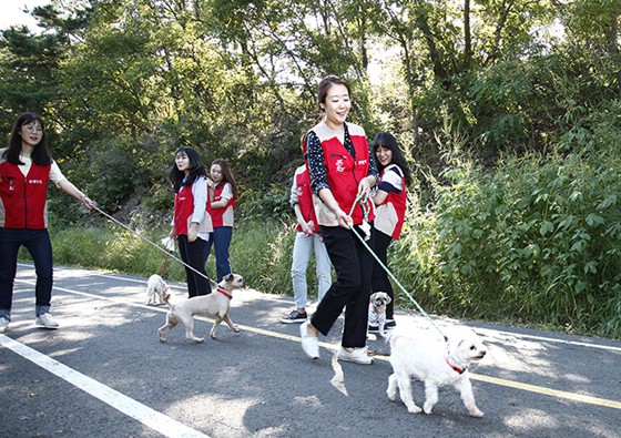 롯데닷컴 샤롯데봉사단이 복지센터의 유기동물들과 산책을 하고 있다.ⓒ롯데닷컴