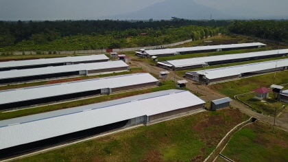 하림그룹 주력 계열사 팜스코가 인수한 인도네시아 종계농장. 2013년 완공된 이 종계 농장은 전체 면적이 18ha이며, 사육 규모는 17만5000수다.