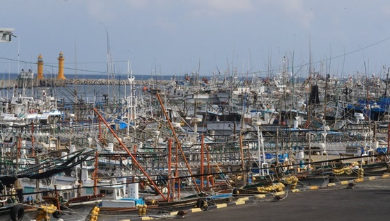 태풍 피해 항구에 정박한 어선들.ⓒ연합뉴스
