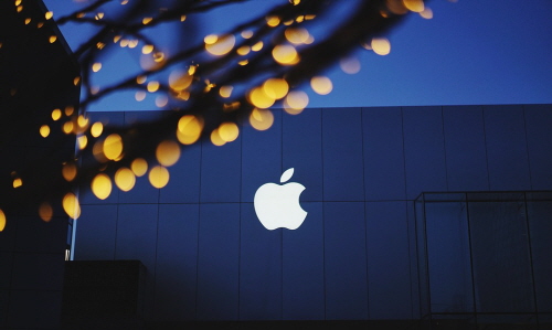 애플이 아일랜드 세금을 체납하면서 미국에서 1조8000억원 과세가 붙을 것으로 전망된다. 애플사의 로고. 사진=픽사베이