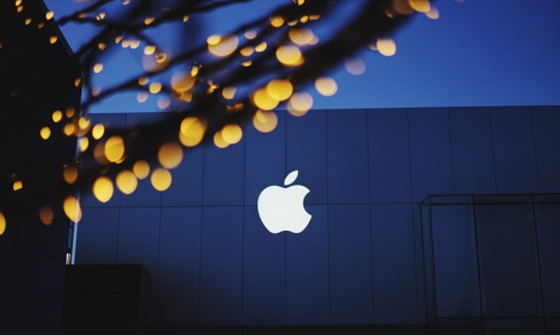 애플과 구글의 브랜드 평판이 지난 1년간 급전직하한 것으로 나타났다.ⓒ픽사베이