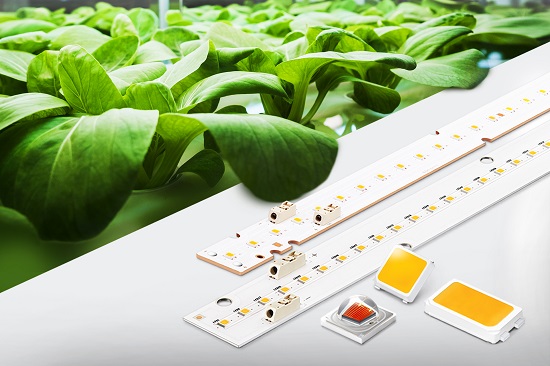 삼성전자가 출시한 '식물생장용 LED 패키지 및 모듈' 제품. ⓒ삼성전자