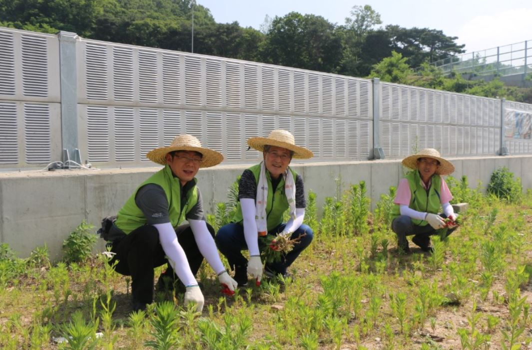 NH농협금융지주는 본격적인 영농기를 맞아 임직원 봉사단 30여 명이 경기도 의정부시 자일동에 위치한 귀락마을을 방문해 부족한 일손을 도왔다고 7일 밝혔다.ⓒ농협금융지주