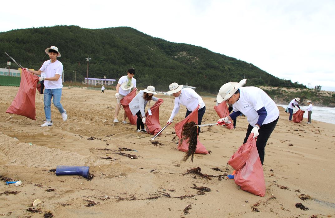 Sh수협은행은 경북 포항시 칠포해수욕장 일대에서 해안 환경정화 활동을 실시했다고 19일 밝혔다.ⓒSh수협은행