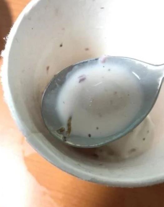 한 누리꾼이 온라인 커뮤니티에 하겐다즈 제품에서 벌레가 발견됐다며 올려 놓은 사진.