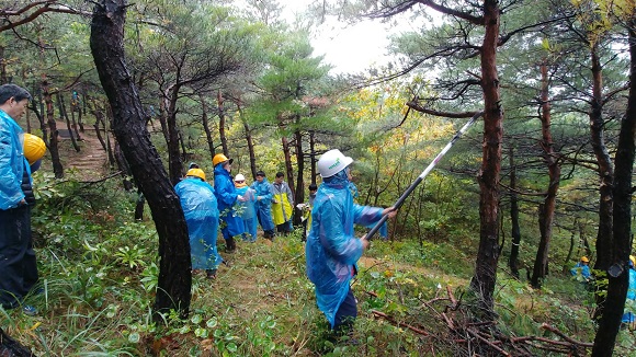 한라시멘트 임직원 및 관계 기관과 단체 등 60여 명이 숲가꾸기 체험행사를 진행했다.