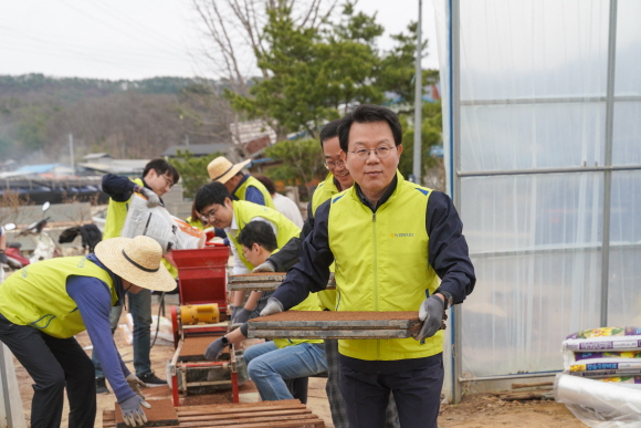 19일 강원도 홍천 왕대추 마을을 방문한 김광수 농협금융지주 회장과 임직원들이 일손돕기에 나서고 있다.ⓒNH농협금융지주