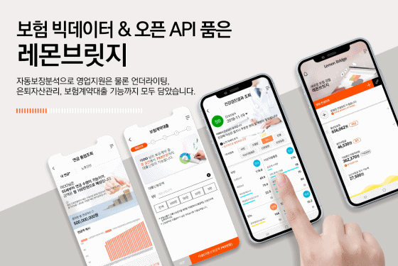 인슈어테크 기업 디레몬의 자동보장분석솔루션 '레몬브릿지' 안내 이미지ⓒ디레몬