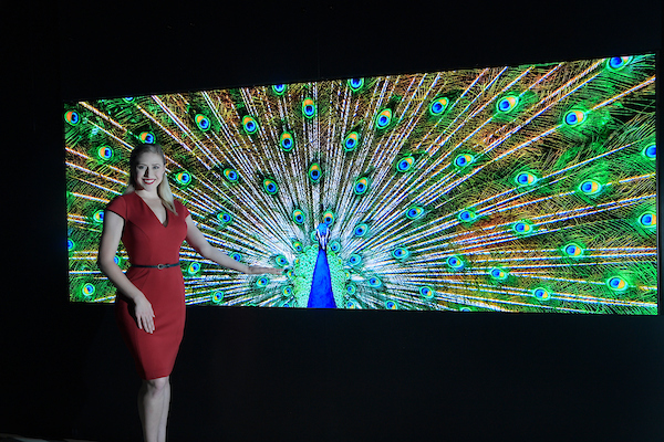 LG전자가 '인포콤 2019'에서 '마이크로 LED 사이니지'를 선보인다. ⓒLG전자