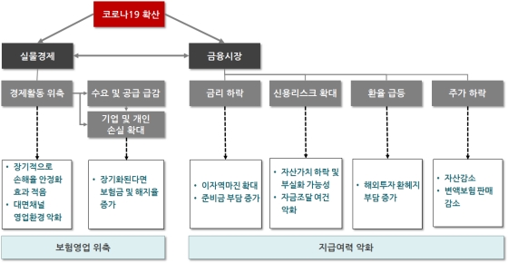 코로나19가 보험산업에 미치는 영향ⓒ보험연구원