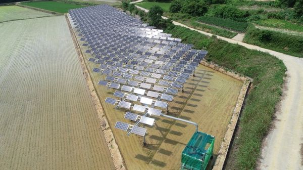 영농형태양광 발전은 상부에서 태양광 발전을 하면서 하부에서 농사가 가능하다 ⓒ한화큐셀