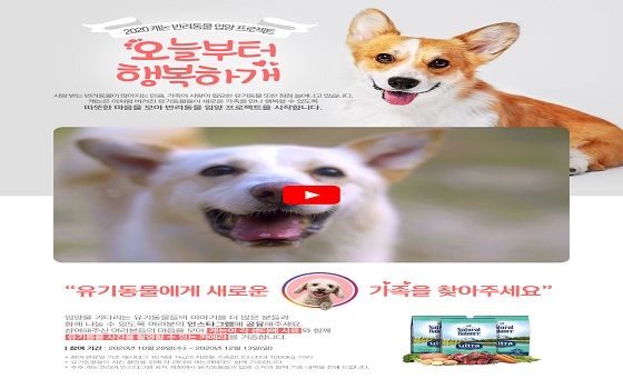 캐논코리아컨슈머이미징은 28일 유기견 보호센터와 함께 반려동물 입양 프로젝트 '오늘부터 행복하개' 캠페인을 실시한다.ⓒ캐논