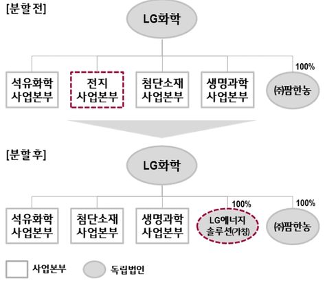 ⓒLG화학