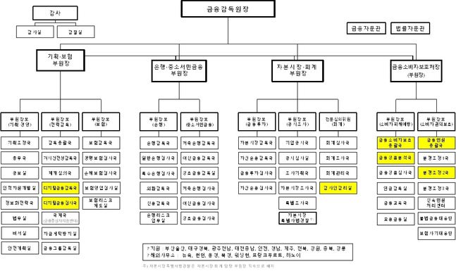 금감원 2021년 조직개편도, 노란색은 신설부서ⓒ금감원