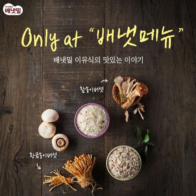 버섯류 이미지