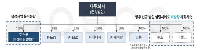 물적 분할 후 포스코의 지배구조. ⓒ포스코