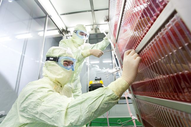 SK바이오사이언스 연구원이 안동L하우스에서 대상포진백신 세포를 배양하기 위한 공정을 진행하고 있다.ⓒSK바이오사이언스