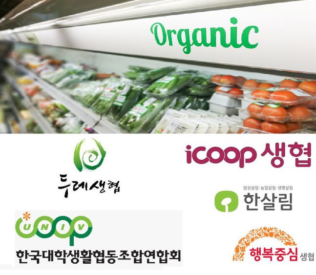 오아시스가 