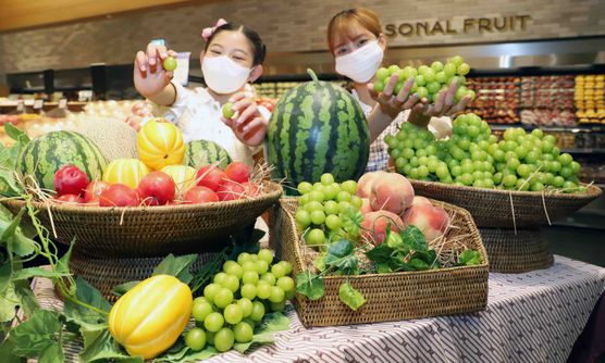 신세계백화점 본점 지하 1층 청과 코너에서 판매 중인 과일들.ⓒ신세계백화점