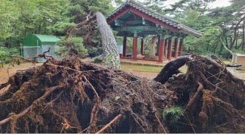 경주 배동 석조여래삼존입상 피해 모습ⓒ연합