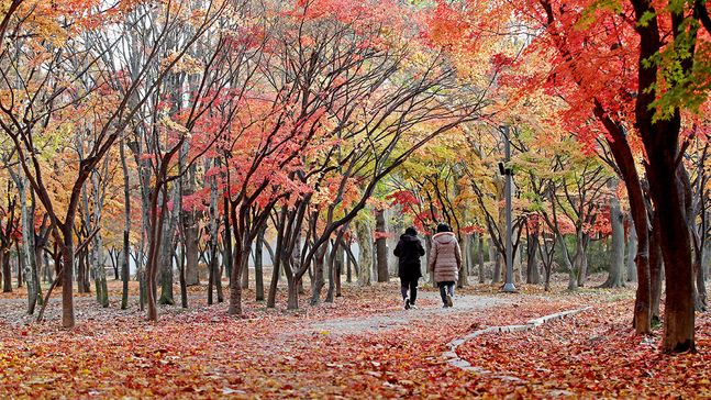 가을 날씨가 이번주까지만 이어질 것으로 예보됐다.ⓒ연합