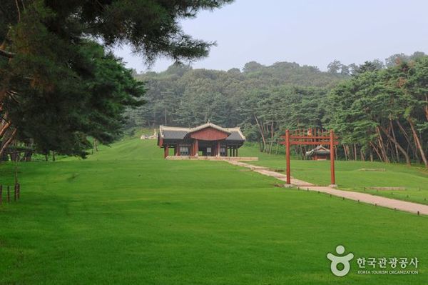 한국토지주택공사(LH)가 왕릉 내 법정보호종 보호활동에 나섰다.ⓒ한국관광공사