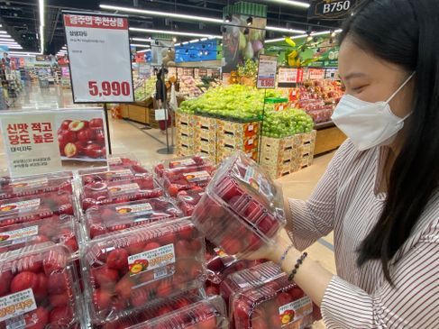 롯데마트가 일반 상품보다 25% 저렴한 자두를 판매하고 있다.ⓒ롯데마트