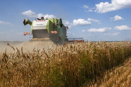 러시아 곡창지대에서 밀을 수확하는 모습.ⓒ연합뉴스