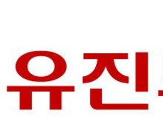 금감원, '서버관리 부실' 유진투자증권 제재