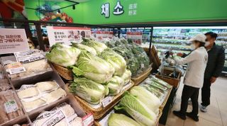 "식품물가 작년보다 올해 더 부담…내년 지출 더 커질 것"
