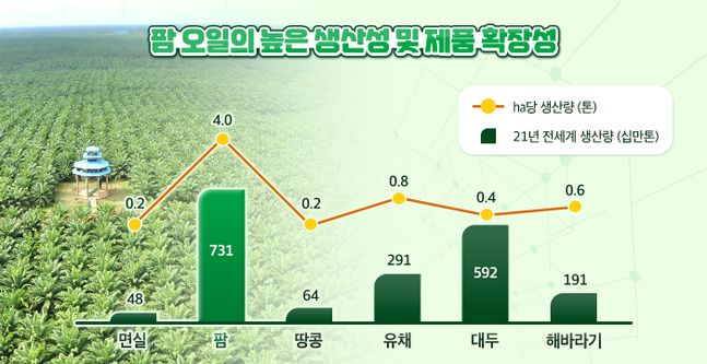 식물성 기름 생산량 및 단위면적당 생산량.ⓒ포스코인터내셔널