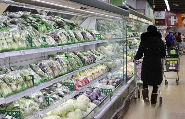 서울 한 대형마트 농산물 코너에서 소비자가 장을 보고 있다.ⓒ연합